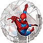 Spider Man Spider Sense Balloon