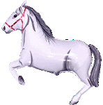 WHITE HORSE SUPER SHAPE